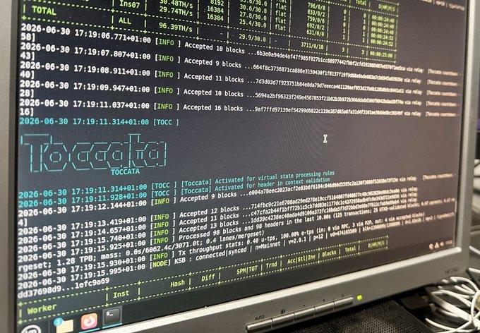 A computer monitor displaying terminal output with blockchain mining logs and the ASCII art 'Toccata' logo for the Toccata project.