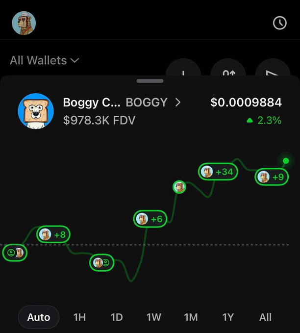 A cryptocurrency tracking app screen showing a token named 'BOGGY' priced at $0.0009884 with a 2.3% gain, featuring a green line chart with various data point indicators.