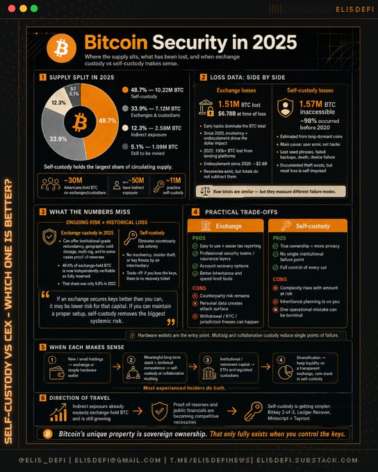 An infographic titled 'Bitcoin Security in 2025' comparing self-custody versus exchange custody, featuring pie charts, statistics on losses, and pros and cons, branded with 'ELISDEFI'.
