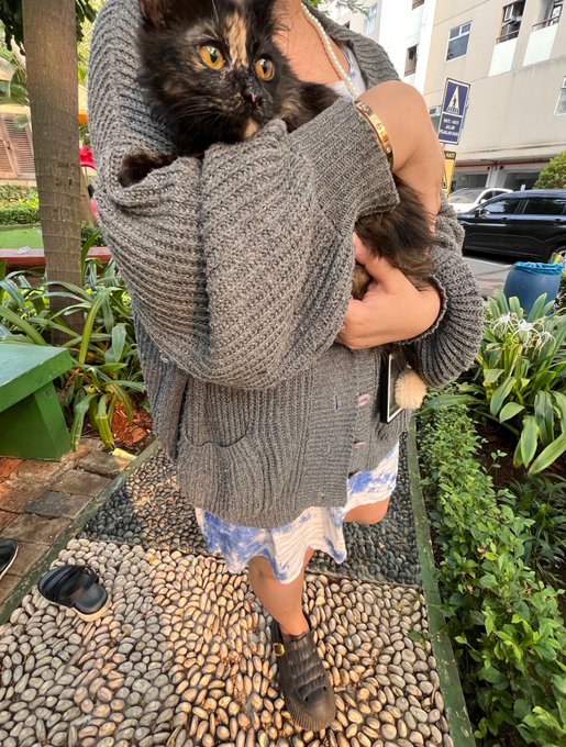 A person wearing a gray knitted cardigan and blue-and-white skirt holds a fluffy black Persian cat with bright orange eyes in their arms, standing on a pebbled garden path.