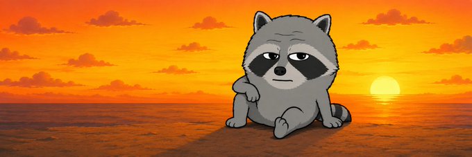 A cartoon raccoon sits relaxed on a sandy beach at sunset, with an orange sky and the sun setting over the ocean in the background. The image serves as the banner for the Solana token "$RACC," with the raccoon mascot cleverly representing the token's ticker symbol.