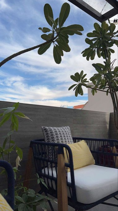 A serene outdoor patio features a navy blue wicker chair with white cushions and patterned pillows, framed by a frangipani tree and lush greenery under a partly cloudy blue sky—evoking a peaceful morning atmosphere that complements the message of embracing fresh opportunities with CNPY Network.
