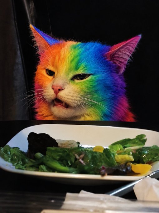 A vibrant rainbow-colored cat with multicolored fur (pink, blue, green, yellow, orange) staring with its tongue slightly out, sitting behind a plate of salad with greens, peppers, and other vegetables on a dark background.