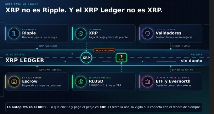 An infographic in Spanish titled 'XRP no es Ripple. Y el XRP Ledger no es XRP.' explaining the relationship between Ripple, XRP, XRP Ledger, RLUSD, and validators.