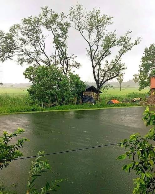 A lush, rain-soaked rural landscape with a small hut beside a pond, framed by tall trees and misty green fields under an overcast sky. The serene, "fresh start" morning scene mirrors the post's message of a new day and renewed opportunities for the crypto community.