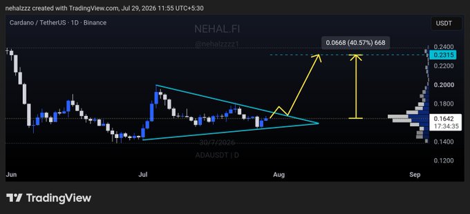 A TradingView daily chart of Cardano/TetherUS (ADA/USDT) on Binance shows price action forming a symmetrical triangle pattern between June and September 2026, with the current price at 0.1642 (+17.34%). A yellow projection arrow points upward toward a target of 0.2315, suggesting a potential 40.57% rally to 0.2315, aligning with the post's bullish outlook on ADA.