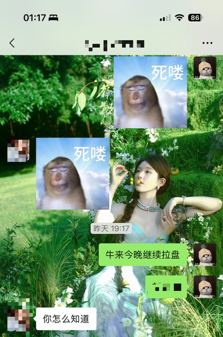 The image shows a WeChat conversation at 01:17 (battery 86%), where a user tells a friend "牛来今晚继续拉盘" (the bull will keep pumping tonight) at 19:17 yesterday, and the friend asks "你怎么知道" (how do you know) — with monkey meme stickers saying "死喽" (we're dead) plastered over a garden background, humorously reflecting the poster's anxious account of holding through a volatile afternoon while a CZ coin announcement briefly "turned their face white" before recovery.
