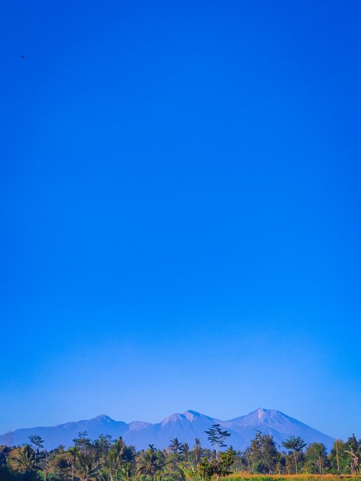 A vibrant blue sky over a tropical landscape with palm trees and purple-tinged mountains in the distance.