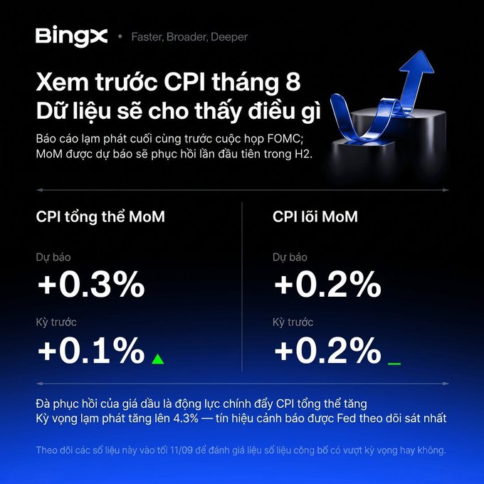 A graphic from BingX in Vietnamese titled 'Xem trước CPI tháng 8' presents CPI MoM forecasts (+0.3% expected vs. +0.1% previous) and core CPI MoM (+0.2% expected vs. +0.2% previous), alongside an image of blue arrows shaped like 'V' and 'L' on pedestals.