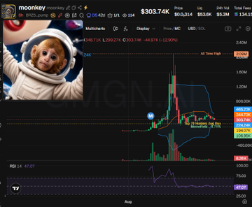 A TradingView chart of $moonkey ($303.74K market cap) on Raydium shows a sharp price spike to approximately $920K peak followed by a steep decline to around $553.8K, with a red annotation noting "Top holder 100% bought" on the recent candle—a visualization of the dramatic pump-and-dump pattern referenced in the post about Blesh and Memeretire being top holders.