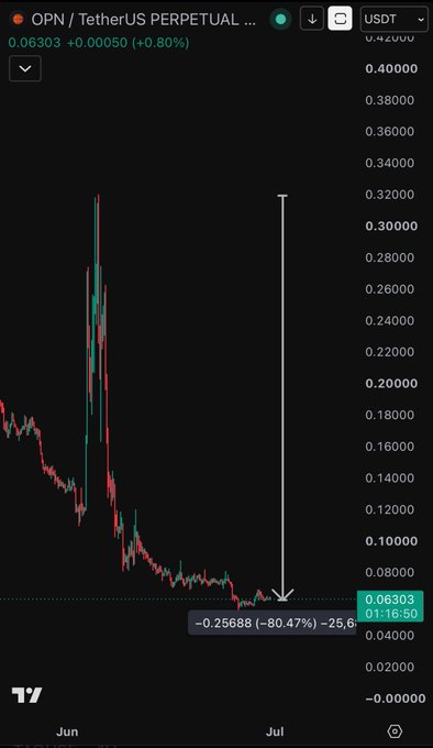 A candlestick chart shows the OPN/USDT perpetual pair collapsing from around $0.32 down to $0.06303, a steep -80.47% decline (-0.25688) that illustrates the painful loss the follower suffered after ignoring the warning to sell at $0.3.