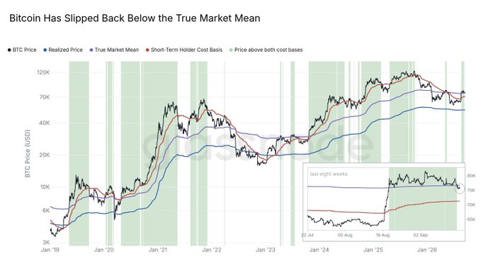 A financial chart titled 'Bitcoin Has Slipped Back Below the True Market Mean' plotting BTC Price, Realized Price, True Market Mean, and Short-Term Holder Cost Basis from January 2019 to early 2026, with an inset showing the last eight weeks.