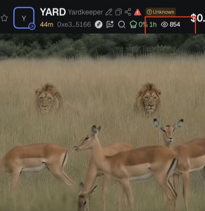 A screenshot of a crypto wallet showing the 'YARD' Yardkeeper account with address 0xe3...5166, a $0. balance, 0% available, and a meme image of lions stalking impalas.