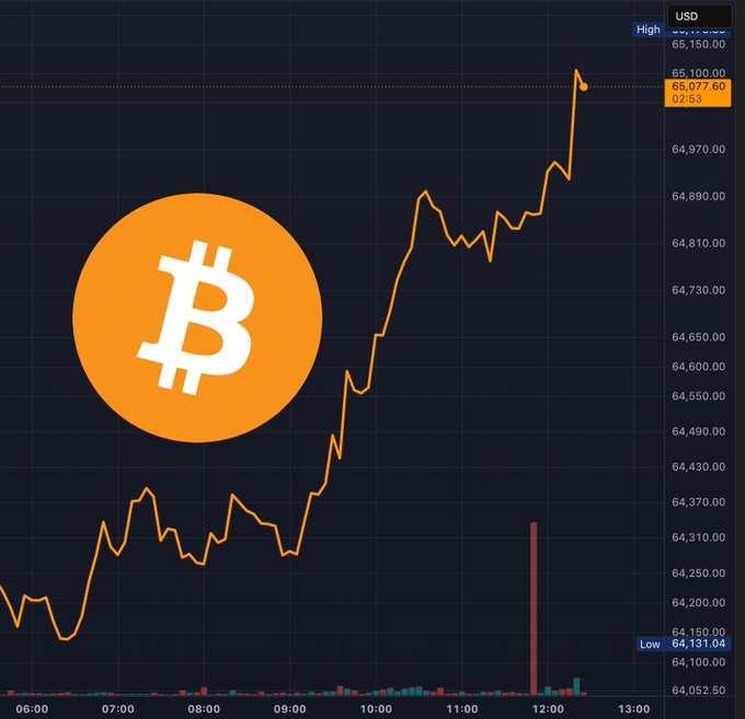 A financial chart displays Bitcoin's price movement with an orange Bitcoin logo on the left; visible values include a high of 65,150.00 and a low of 64,131.04 in USD.