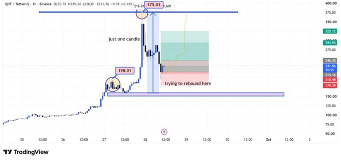 A TradingView chart of 'QNT / TetherUS' on Binance, with annotations highlighting price points like '198.01', '375.03', and text saying 'just one candle' and 'trying to rebound here'.