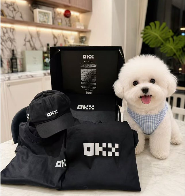 A small white fluffy dog wearing a blue gingham bandana sits next to an OKX-branded merchandise package containing a black cap, t-shirts, and apparel.