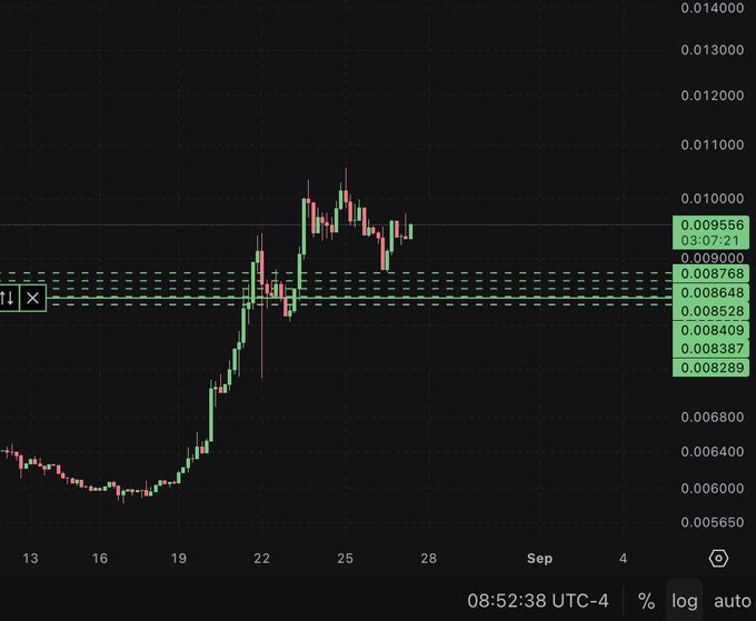 A candlestick chart displays the price action of $PENGU (Pudgy Penguins), currently at 0.009556, consolidating around the 0.008768 resistance level after a strong rally from 0.005650 in mid-August. The bullish momentum visible in the chart supports the poster's confident outlook that a breakout above this consolidation zone could send the token significantly higher.