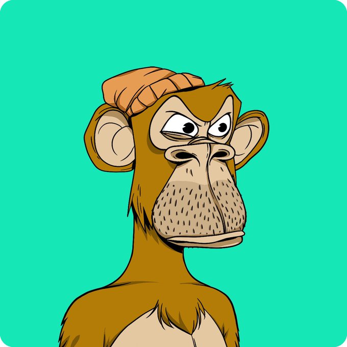 A cartoon illustration of a stern-looking brown monkey wearing an orange beanie against a bright green background.