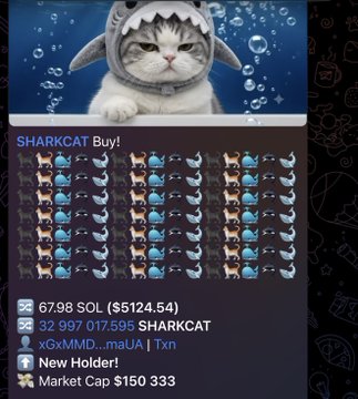 A promotional graphic for the SHARKCAT token on Solana, featuring a shark-themed cat mascot with the text "SHARKCAT Buy!" displayed above rows of shark and cat emoji icons. The bottom shows pricing at 67.98 SOL ($5124.54), with 32,997 holders (017,595 SHARKCAT), a market cap of $150,333, and the contract address HGBxfAM4hDrKTagryTNwKsjPHShdM8coP9Ve9jE6pump—aligning with the post's bullish call about whale accumulation and SHARKCAT's growing presence on DEX rankings.