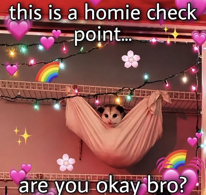 A cute white cat peeks out from a pink hammock decorated with rainbow string lights and surrounded by heart and rainbow stickers. The image includes text reading "this is a homie check point..." at the top and "are you okay bro?" at the bottom, which playfully matches the post's message of checking in on a friend's wellbeing.