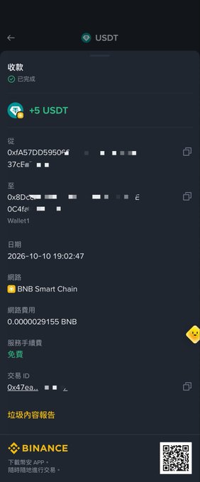 A Binance app screenshot showing a completed USDT (Tether) transaction of +5 USDT received via BNB Smart Chain on October 10, 2026 at 19:02:47, with network fees of 0.0000029155 BNB.