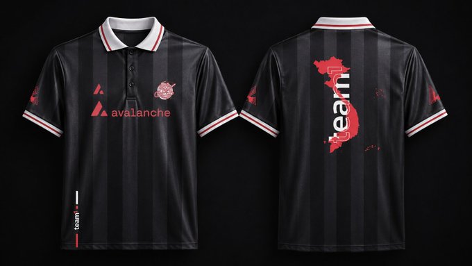 A black and red striped polo-style jersey displaying 'avalanche' on the front and 'team' with a world map graphic on the back.