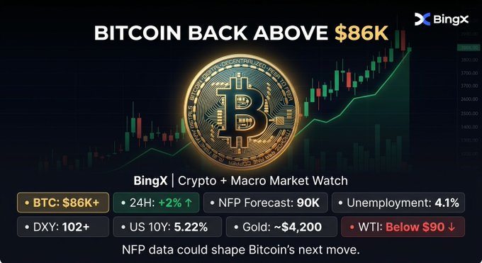 A financial market graphic from BingX titled 'BITCOIN BACK ABOVE $86K' showing a gold Bitcoin coin over candlestick charts, with data: BTC: $86K+, 24H: +2%, NFP Forecast: 90K, Unemployment: 4.1%, DXY: 102+, US 10Y: 5.22%, Gold: ~$4,200, WTI: Below $90.