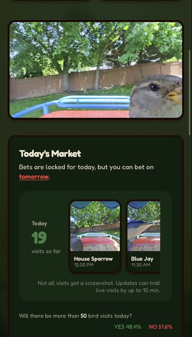The image shows an advertisement for birdbets, where a bird is shown looking at the camera with a green screen displaying information about the daily market. The text on the screen provides details about the current market conditions and suggests that users can place bets on these conditions. The post also mentions that there are more than 50 birds visiting today's market, which could be an indication of good weather or other factors attracting bird activity to the area.