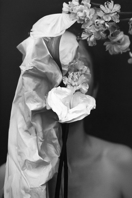 A black and white artistic photograph featuring draped white fabric intertwined with carnation flowers against a dark background.