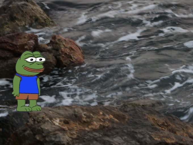 A cartoon image of Pepe the Frog wearing a blue tank top and brown shorts, standing on rocks by the ocean.