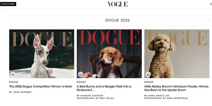 Vogue's "Dogue 2026" cover lineup showcases three dogs—a Bull Terrier, a Beagle, and Millie Bobby Brown's Miniature Poodle Winnie—in the style of a fashion magazine spread, perfectly matching the $DOGUE meme coin concept referenced in the post. The parody plays on Vogue magazine covers but replaces human models with stylishly photographed dogs, tying into the viral "Dogue" branding promoted on the Base app.