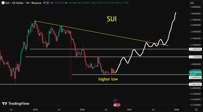 A TradingView weekly chart of SUI/USD on Binance showing a descending triangle pattern with a higher low forming and a white projection line pointing upward.