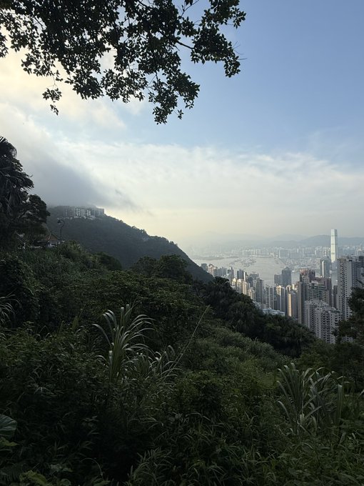 A scenic view from a lush hillside overlooks a sprawling city skyline (likely Hong Kong) with a river winding through dense skyscrapers under a hazy sky. The image's "touch grass" theme visually reinforces the post's playful jab at skeptics, while the elevated urban panorama suggests the promising perspective these crypto supporters hold for Robinhood, Arbitrum, and Ethereum.