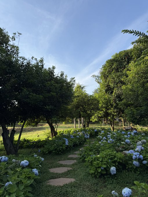 A serene outdoor scene featuring a stone stepping-stone pathway winding through a garden with blooming blue hydrangeas, flanked by leafy trees under a bright blue sky with wispy clouds.