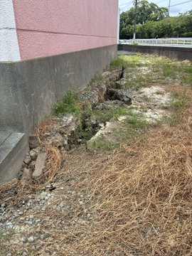 A deep crack runs alongside a pink and gray building, with exposed dirt, rocks, and scattered dry grass, showing ground damage likely caused by the Reiwa 8 Kumamoto earthquake. The post humorously notes that despite disaster-related traffic congestion from errands, walking (via the STEPN app) makes even trips to far supermarkets possible—though this image shows a nearby example of the earthquake's disruption.