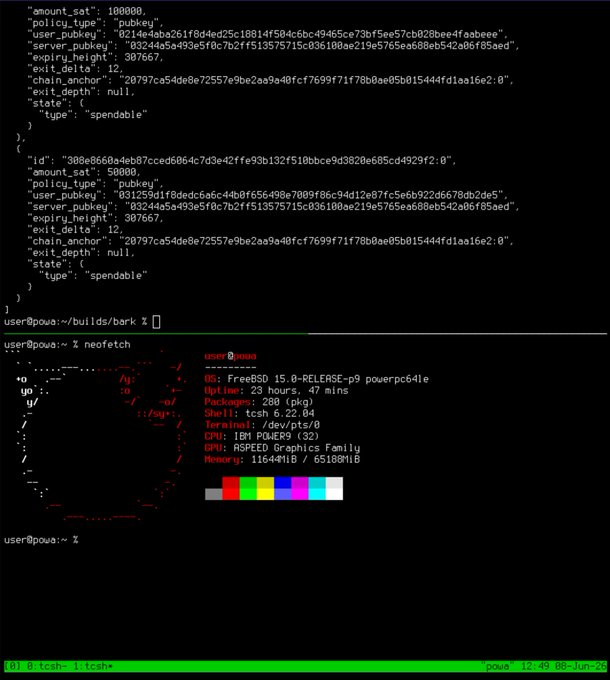 The image shows a computer screen with two windows open, one of which displays a code editor or text editor window, while the other has a list of errors or warnings. The code editor window appears to be Ark VTXOs, and there is a warning message that says "Focus on what is in the image and how it relates to the post." This suggests that the user should pay attention to the content displayed in the code editor window and consider its relevance to the post about Ark VTXOs.