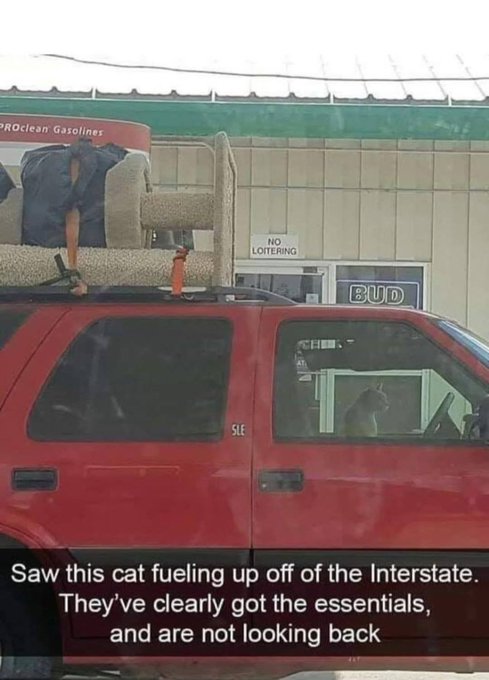 A humorous image shows a cat sitting in the driver's seat of a red SUV loaded with furniture, including a sofa and chair strapped to the roof, with text reading 'Saw this cat fueling up off of the Interstate. They've clearly got the essentials, and are not looking back.'