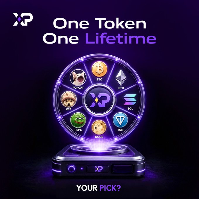 The image features a purple wheel filled with various crypto coins, including Bitcoin, Ripple, and Litecoin. The text above the wheel reads "One token, one lifetime" and encourages viewers to enter their pick by typing "Your Pick?".