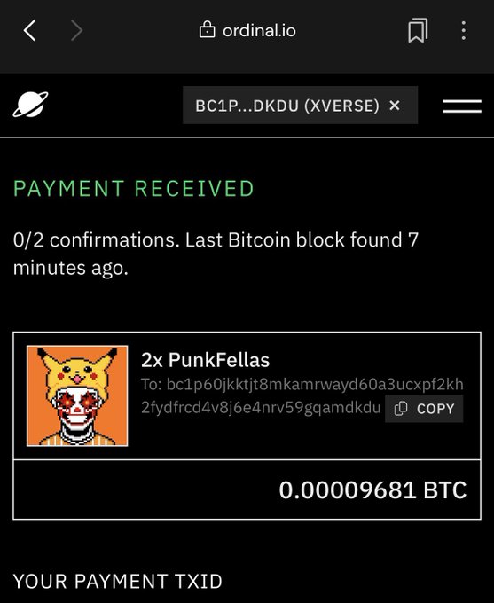 Mobile screenshot of an ordinal.io payment confirmation showing 'PAYMENT RECEIVED' for '2x PunkFellas' at 0.00009681 BTC to address bc1p60jkkjt8mkamrwayd60a3ucxpf2kh2fydfrcd4v8j6e4nrv59gqamdkzdu.