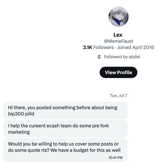 A Twitter direct message from user 'Lex' (@MemeFaust) asks the recipient about helping with marketing posts and quote retweets.