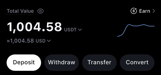 The image shows a cryptocurrency wallet dashboard displaying a total value of 1,004.58 USDT (≈1,004.58 USD), complete with Deposit, Withdraw, Transfer, and Convert options. It illustrates the post's claim of earning over $1,000 in a single day from a memecoin.