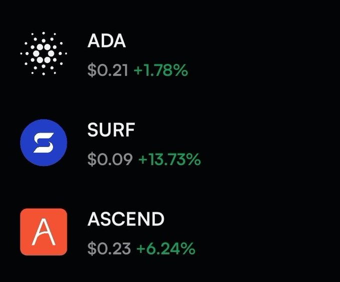 A cryptocurrency tracker displays three tokens: ADA at $0.21 (+1.78%), SURF at $0.09 (+13.73%), and ASCEND at $0.23 (+6.24%), all showing positive gains in green text on a black background.
