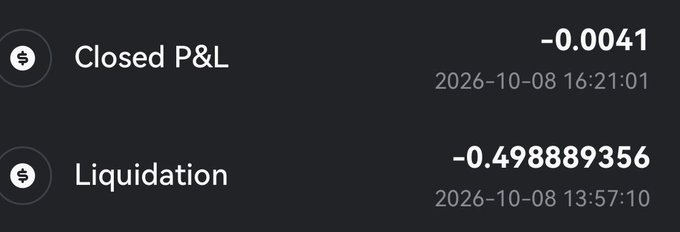 A dark-themed dashboard displays financial losses with 'Closed P&L' at -0.0041 and 'Liquidation' at -0.498889356, both dated 2026-10-08.