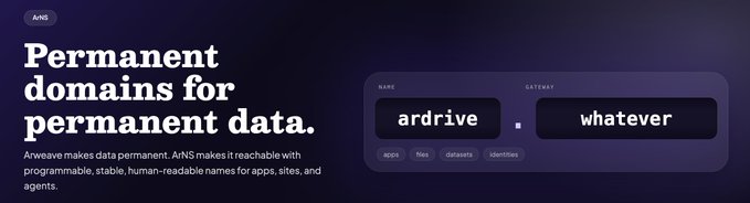 A promotional graphic for ArNS (Arweave Naming System) reading 'Permanent domains for permanent data,' with a search bar example showing the name 'ardrive' resolving to category 'whatever.'