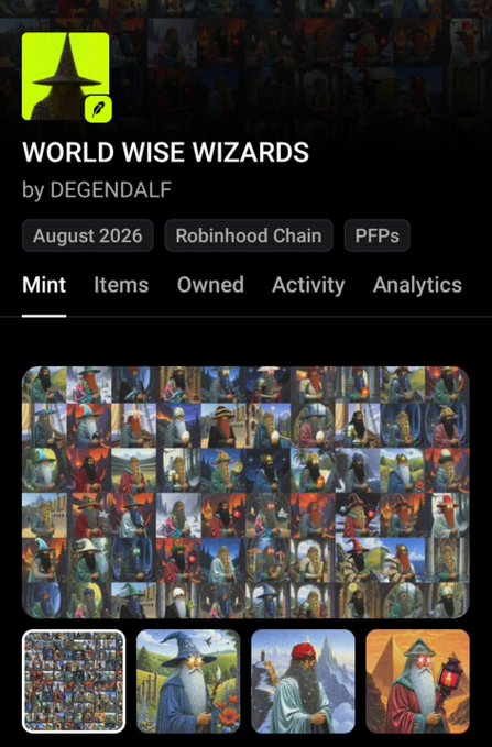 A mobile screenshot of an NFT collection page titled 'WORLD WISE WIZARDS by DEGENDALF' on Robinhood Chain, displaying a grid of wizard-themed profile pictures dated August 2026.