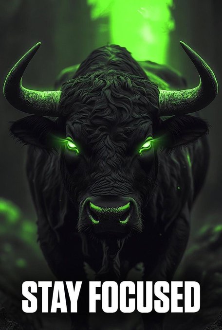 A dark, glowing green bull faces forward with the bold white text 'STAY FOCUSED' at the bottom.