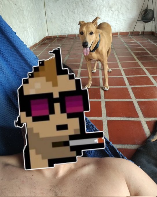 A brown dog with its tongue out stands on a red tiled floor, while a pixel-art character sticker holding a cigarette is superimposed in the foreground over a person's leg.