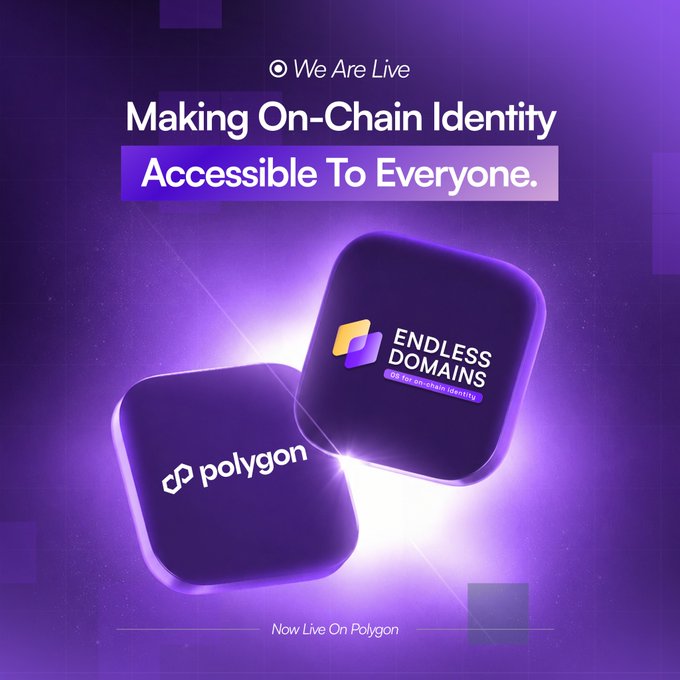A purple promotional graphic for Endless Domains announcing "Making On-Chain Identity Accessible To Everyone," featuring logo tiles for Polygon and Endless Domains with the tagline "Now Live On Polygon."