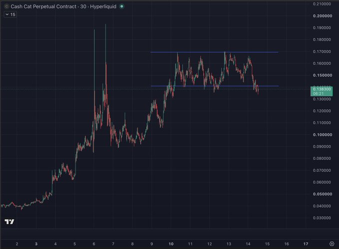 A 30-minute candlestick chart of the CASH/CAT perpetual contract on Hyperliquid shows the price consolidating between approximately 0.138 (support) and 0.168 (resistance), currently trading at 0.1383—right at the lower boundary, setting up the range breakdown the trader is watching for.