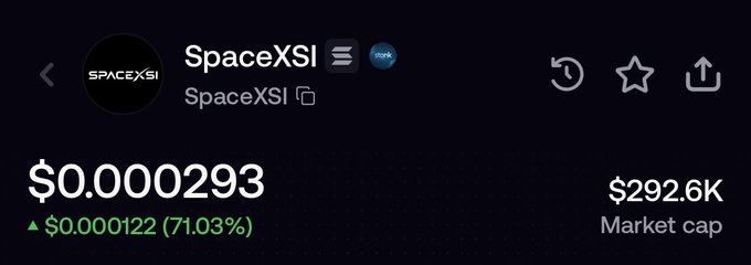 A cryptocurrency tracking screen showing the SpaceXSI token at $0.000293, up 71.03%, with a market cap of $292.6K.